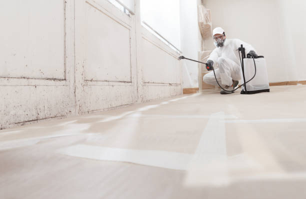 24/7 Emergency Mold Remediation experts in Irving, TX