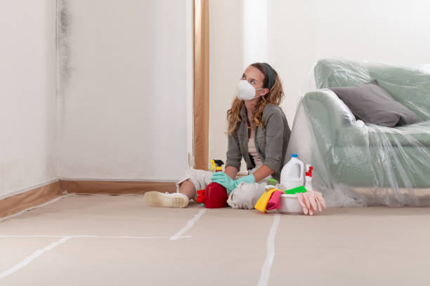 Reliable Mold Remediation contractor in Irving, TX by Car Mold Remediation